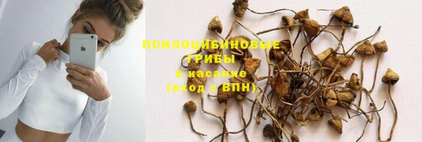 шишки Абдулино