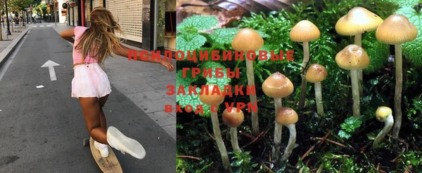 шишки Абдулино