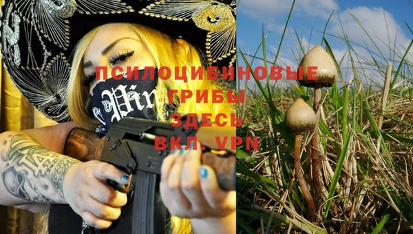 MESCALINE Магас