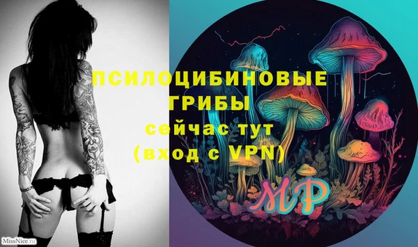 шишки Абдулино